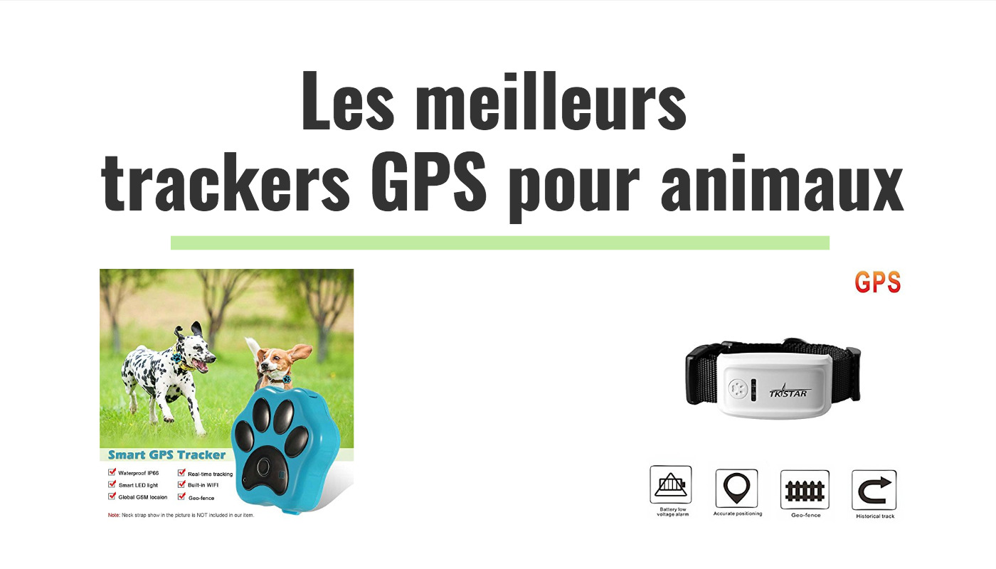 Les meilleurs trackers GPS pour chiens, chats et animaux domestiques